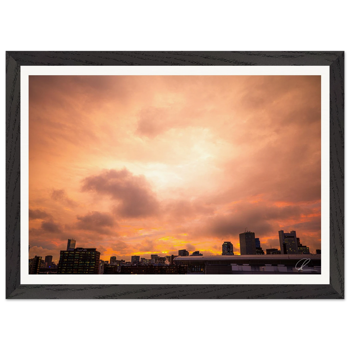 531d5be7-282e-46b2-b5d6-41db59c0fe02